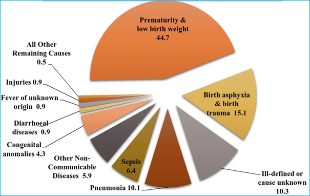 Feeding Premature Baby